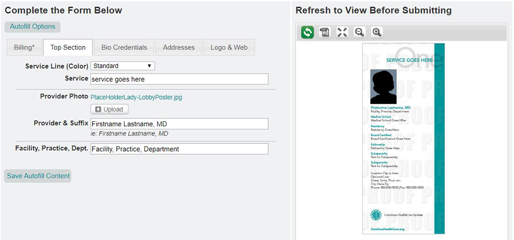 CHS R1 Form - Preview Window